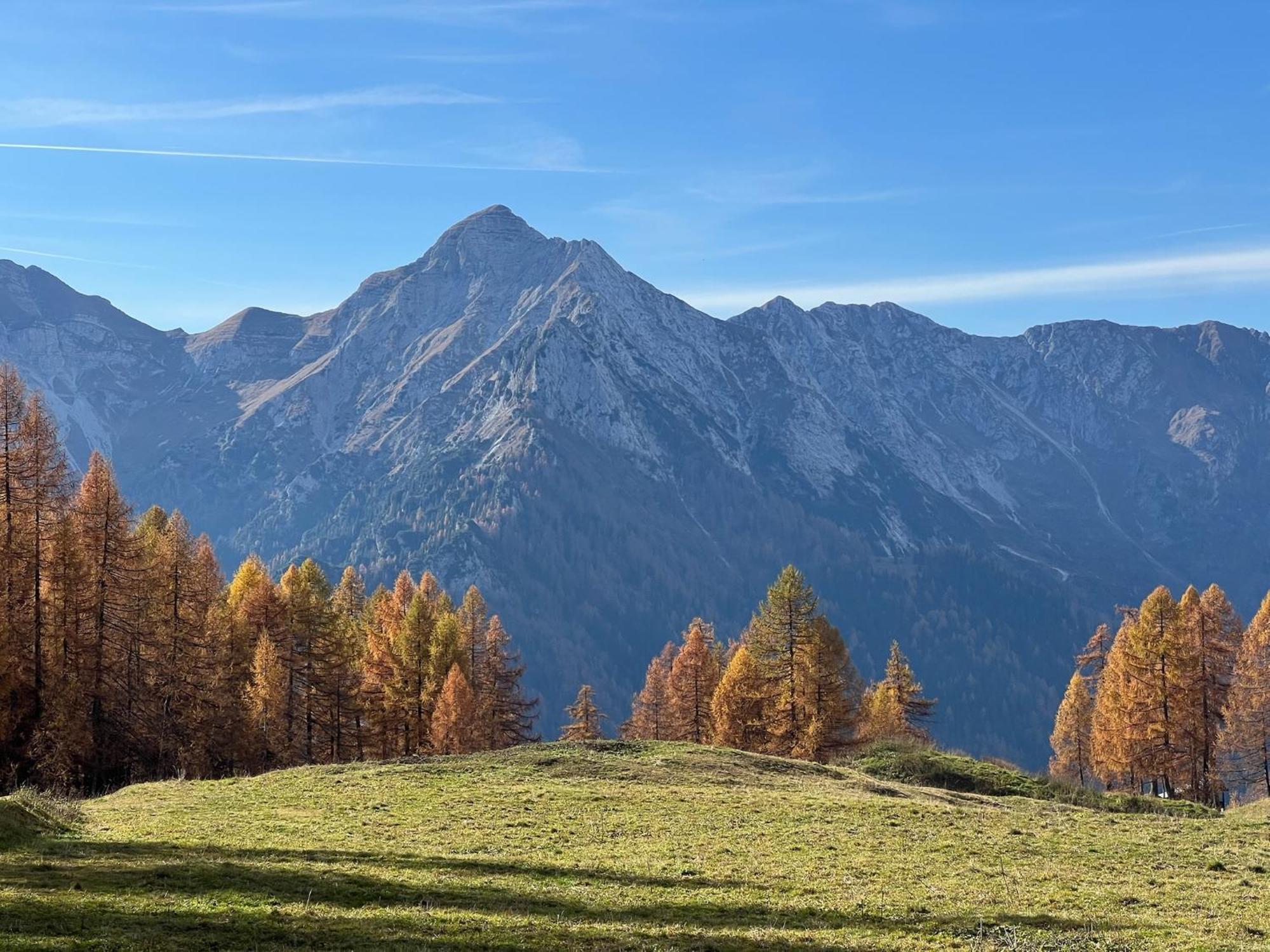 Botep Ai Tigli Bed and Breakfast San Pellegrino Terme Eksteriør billede